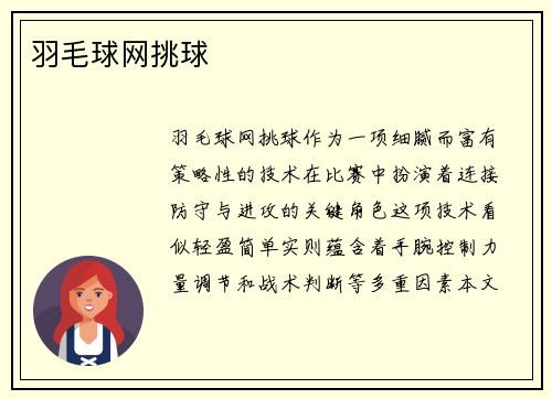 羽毛球网挑球